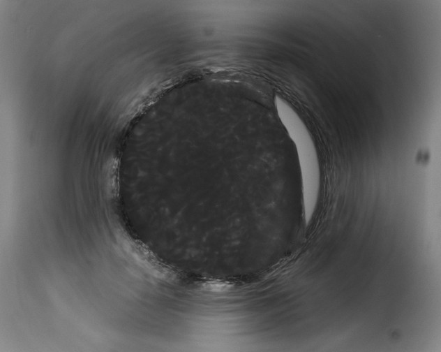 X0000114190650200911200938