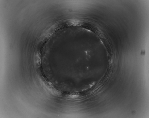 X0000114190651200911200938