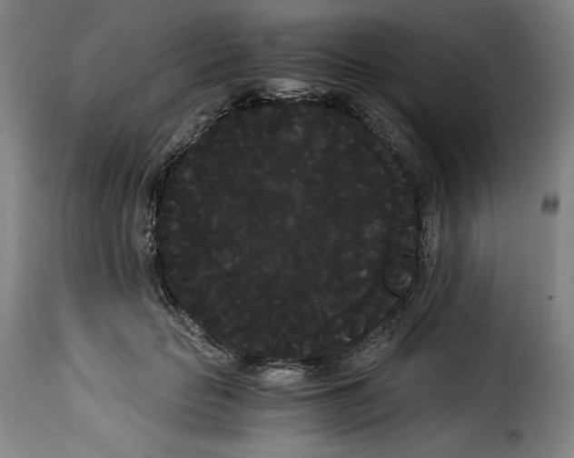 X0000114190653200911200938