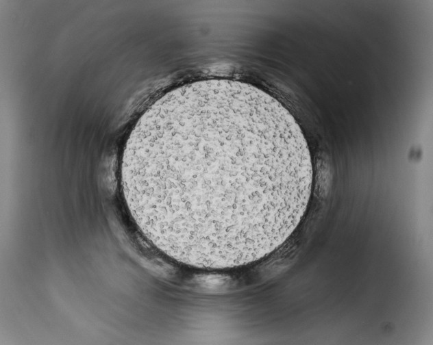 X0000114190654200911200938