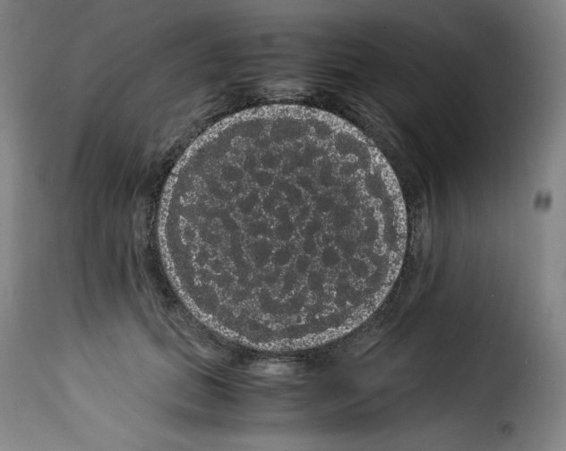 X0000114190655200911200938