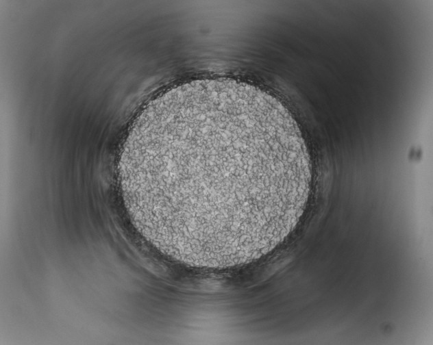X0000114190656200911200938