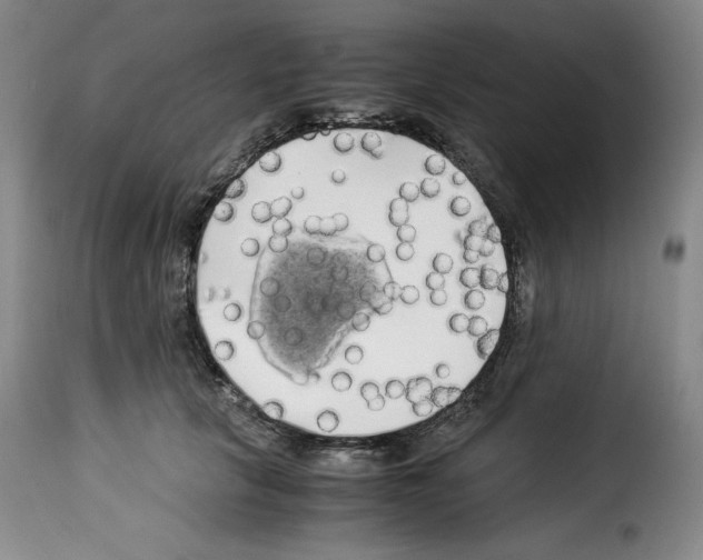 X0000114190657200911200938