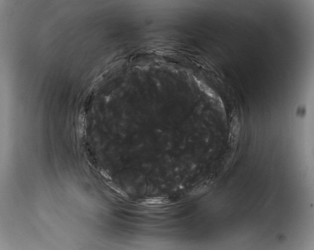 X0000114190659200911200938