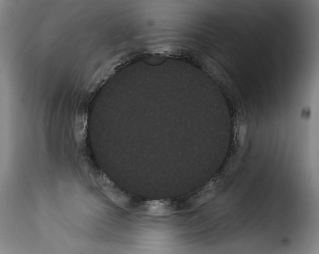 X0000114190660200911200938