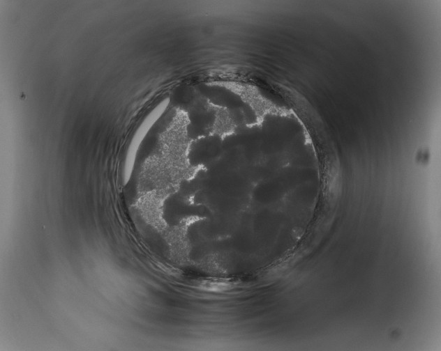 X0000114190661200911200938