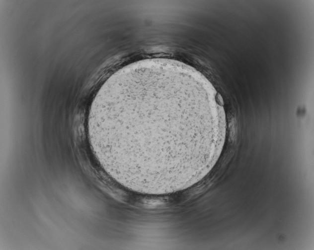 X0000114190662200911200938