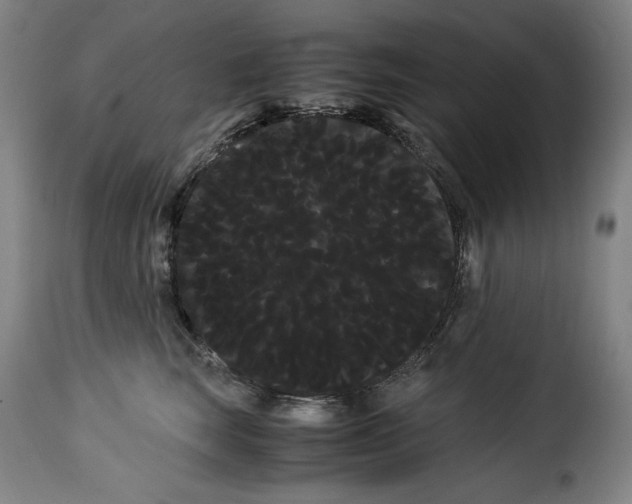 X0000114190663200911200938