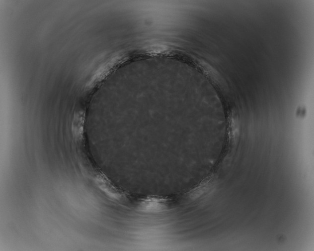 X0000114190664200911200938