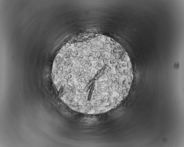 X0000114190665200911200938