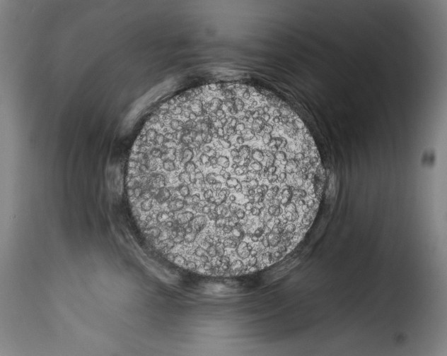 X0000114190666200911200938