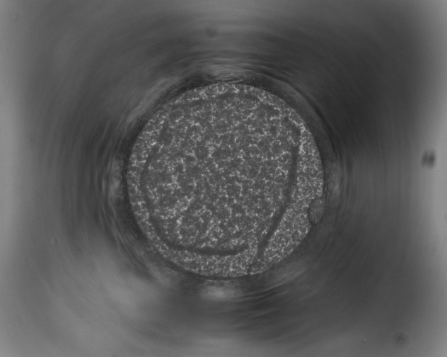 X0000114190667200911200938