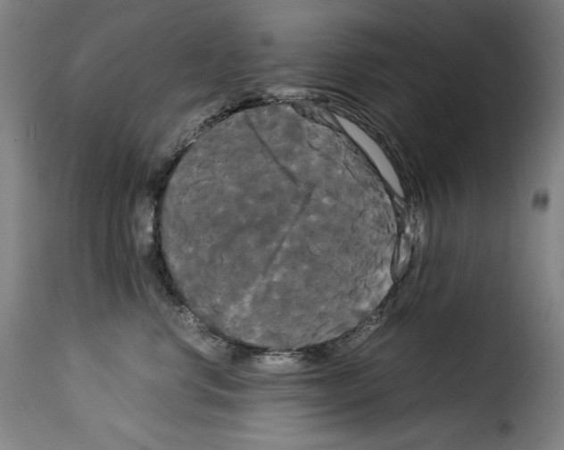 X0000114190668200911200938