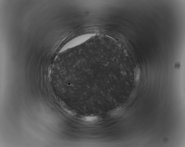 X0000114190669200911200938