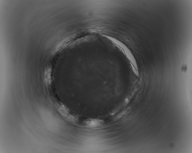 X0000114190670200911200938