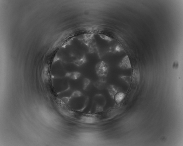 X0000114190671200911200938