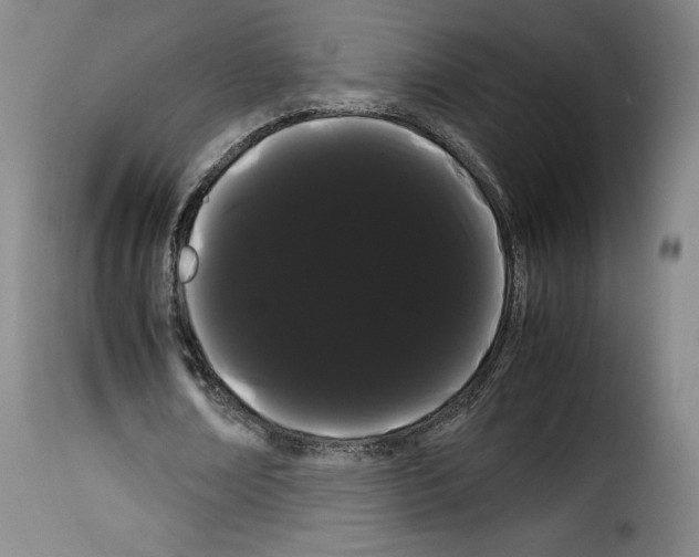 X0000114190674200911200937