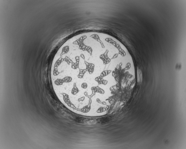 X0000114190675200911200937