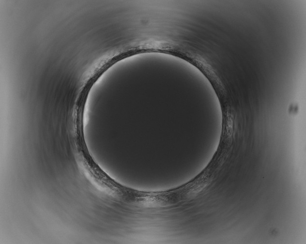 X0000114190678200911200937