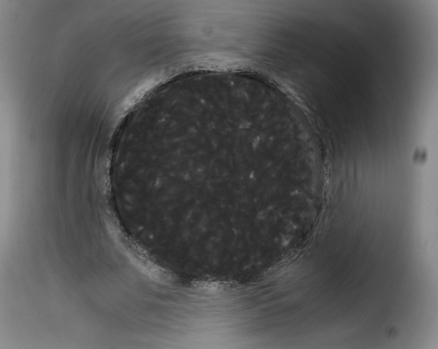 X0000114190679200911200937