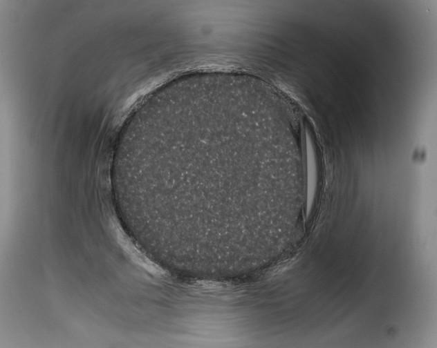 X0000114190681200911200937