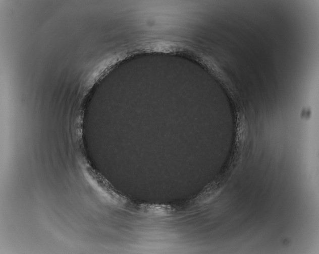 X0000114190683200911200937