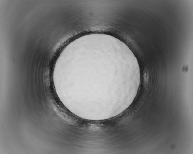 X0000114190684200911200937