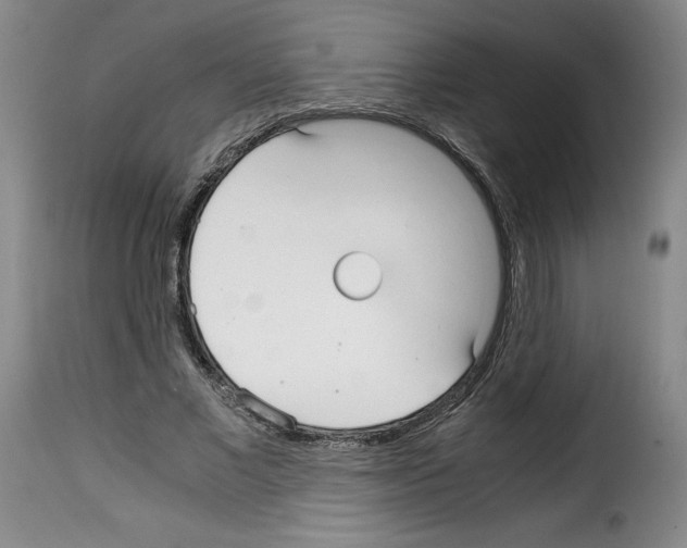 X0000114190685200911200937