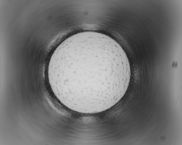 X0000114190686200911200937