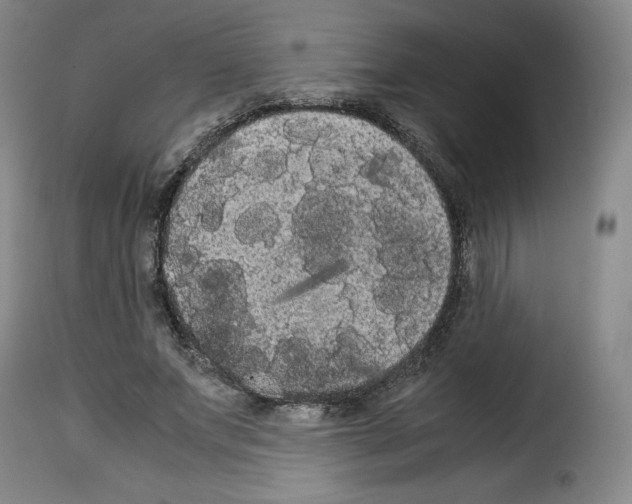 X0000114190687200911200937