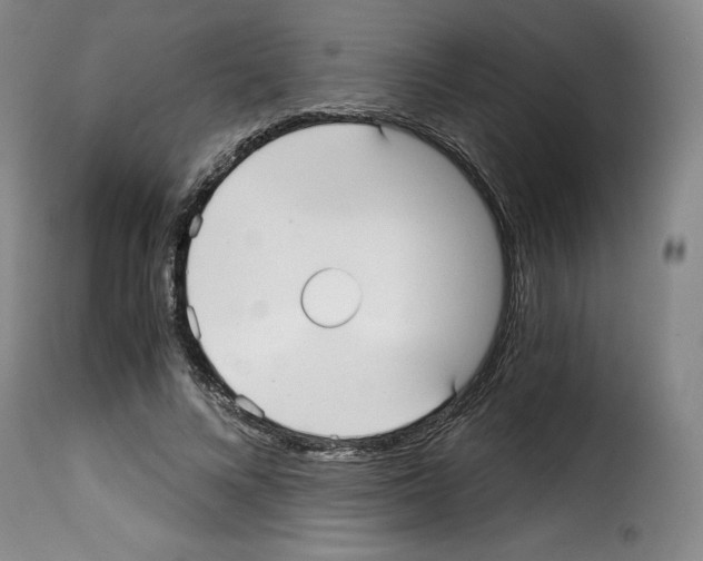 X0000114190688200911200937