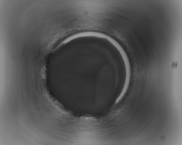X0000114190689200911200937