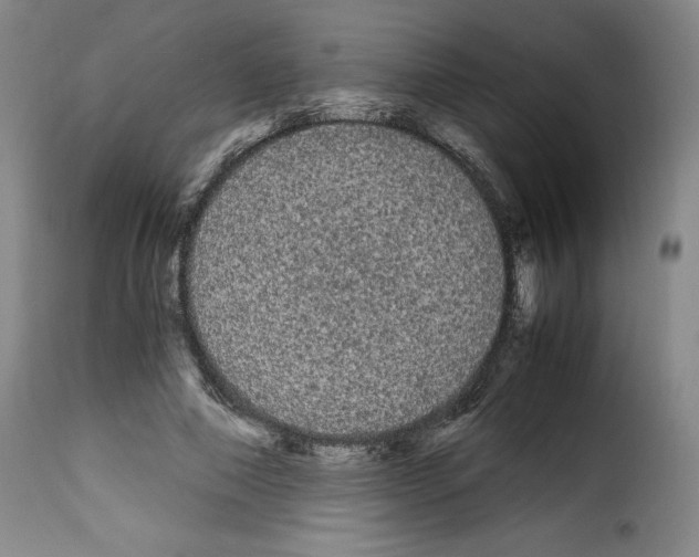 X0000114190690200911200937