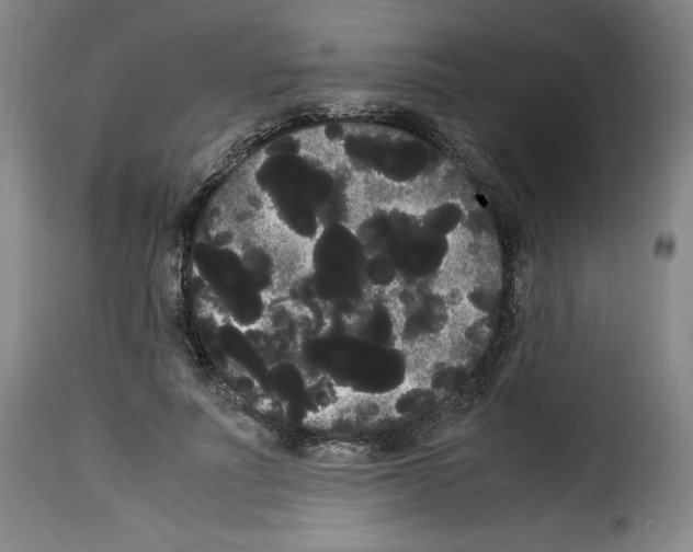 X0000114190691200911200937