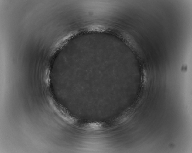 X0000114190692200911200937