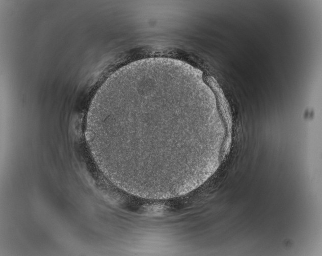 X0000114190695200911200937