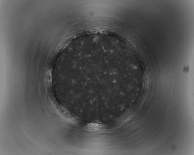 X0000114190699200911200937