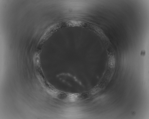 X0000114190701200911200937