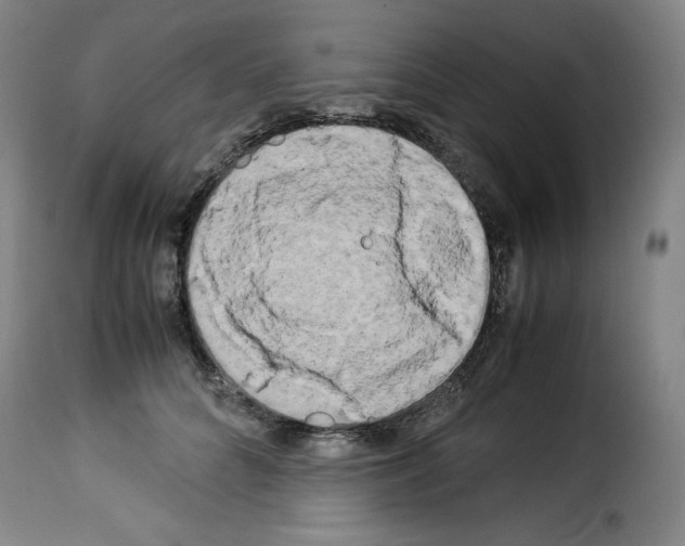 X0000114190704200911200937