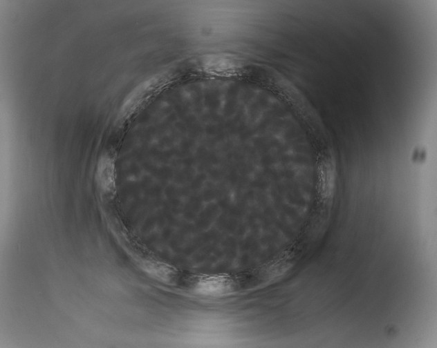 X0000114190705200911200937