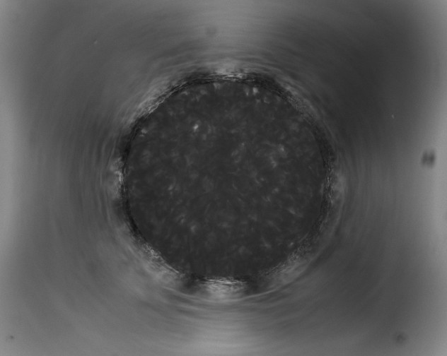 X0000114190707200911200937