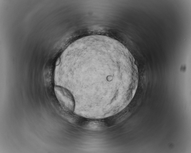 X0000114190708200911200937