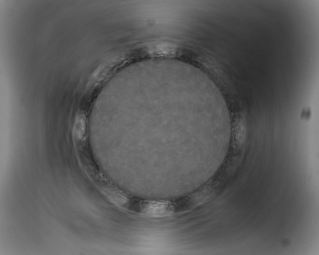 X0000114190709200911200937