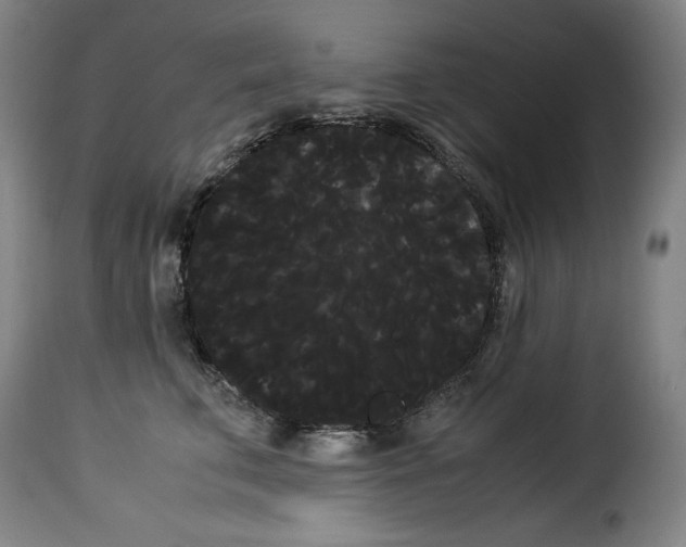 X0000114190711200911200937