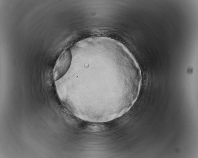 X0000114190712200911200937