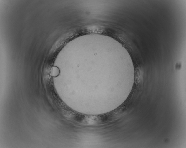 X0000114190713200911200937