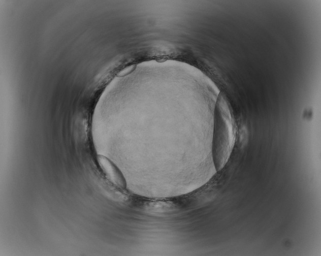 X0000114190716200911200937
