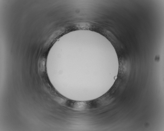 X0000114190717200911200936