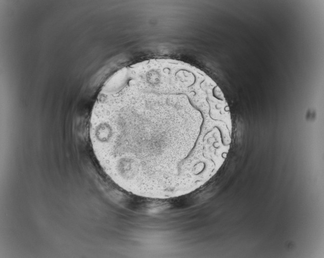 X0000114190719200911200936
