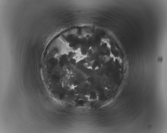 X0000114190721200911200935